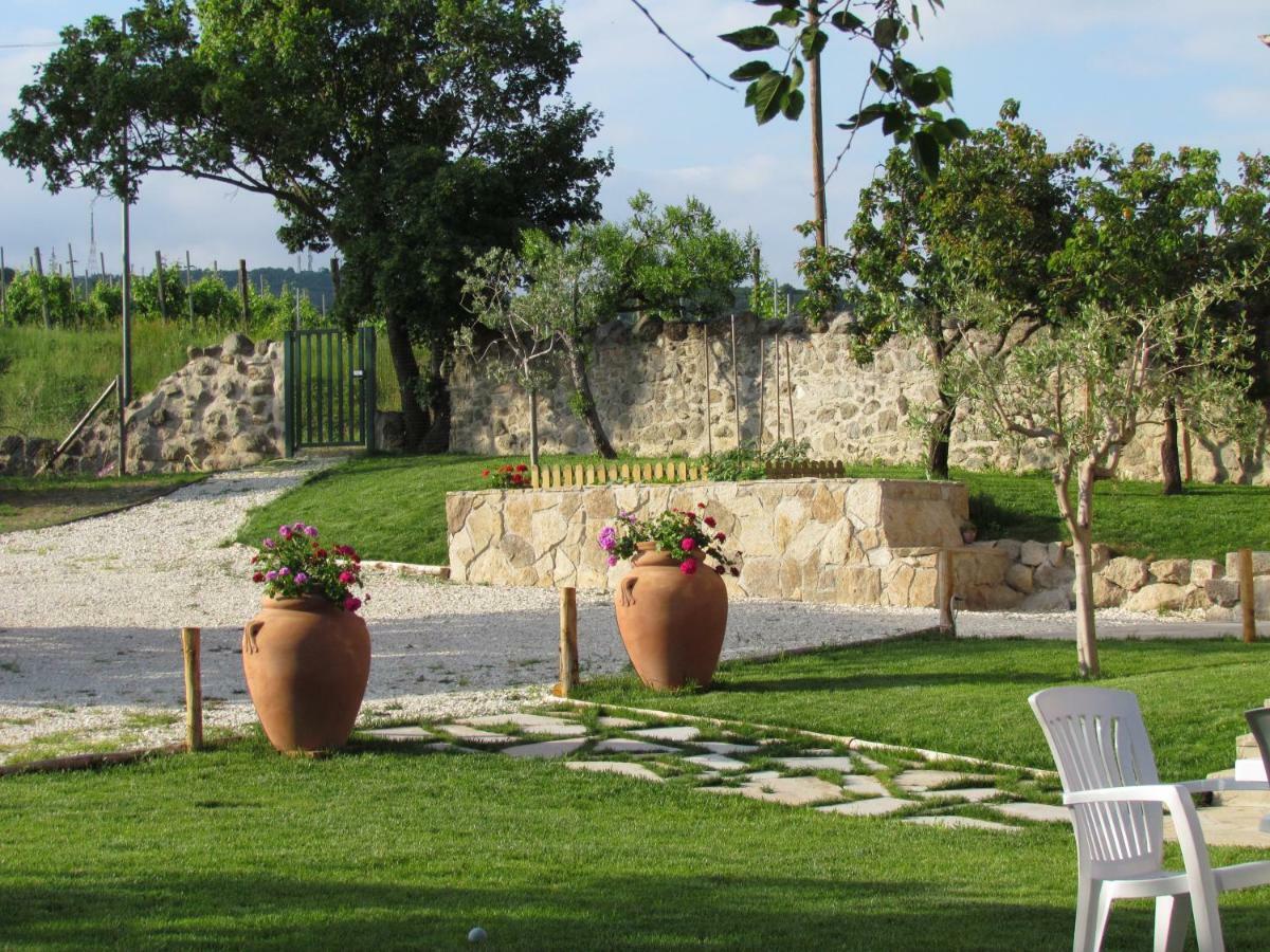 I grilli b&b Baone Dış mekan fotoğraf