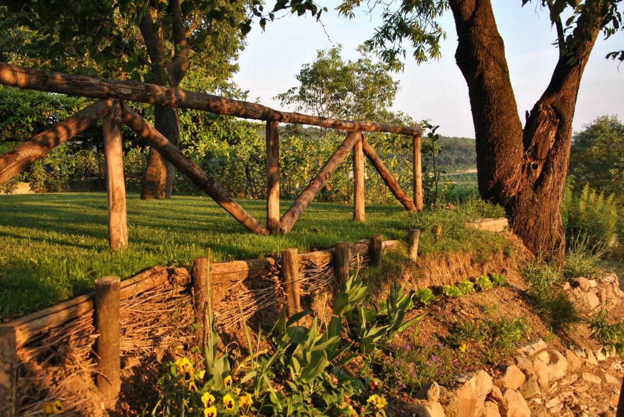 I grilli b&b Baone Dış mekan fotoğraf
