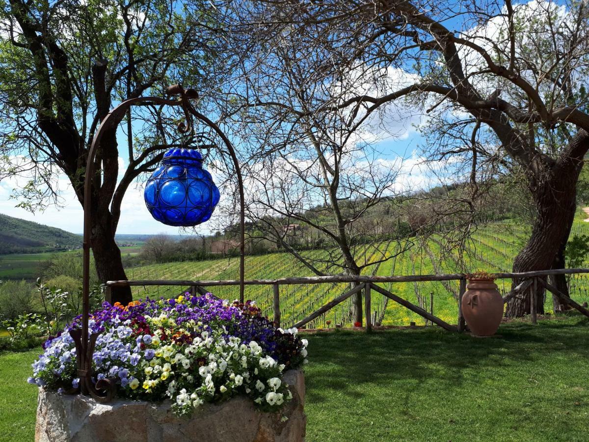 I grilli b&b Baone Dış mekan fotoğraf