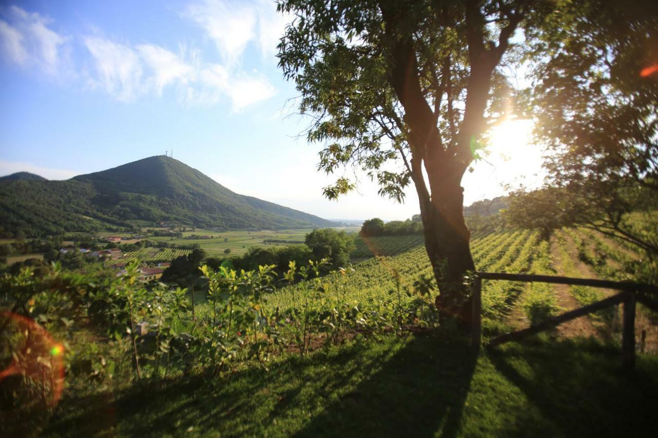 I grilli b&b Baone Dış mekan fotoğraf